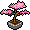 Bonsai Flor de Cerejeira